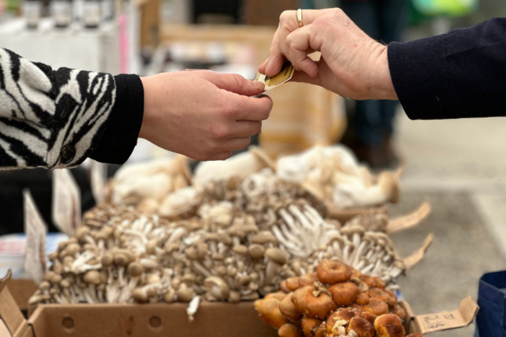 Website News Post (4) (1)