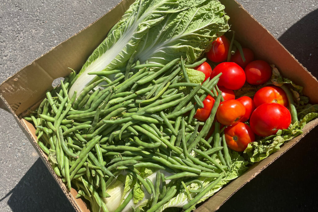 Wordpress - Featured Image - August 2023 (1)