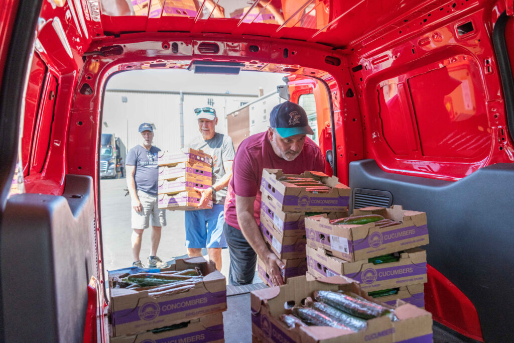 The Great Cucumber Rescue